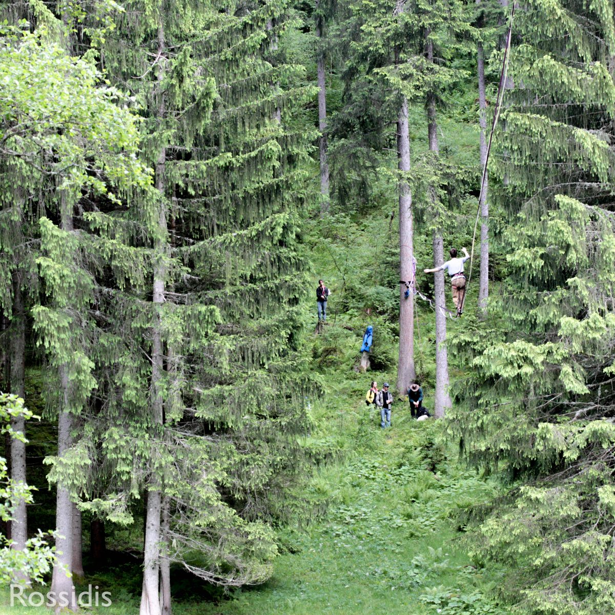 Highline during the Flying Frenchies festival