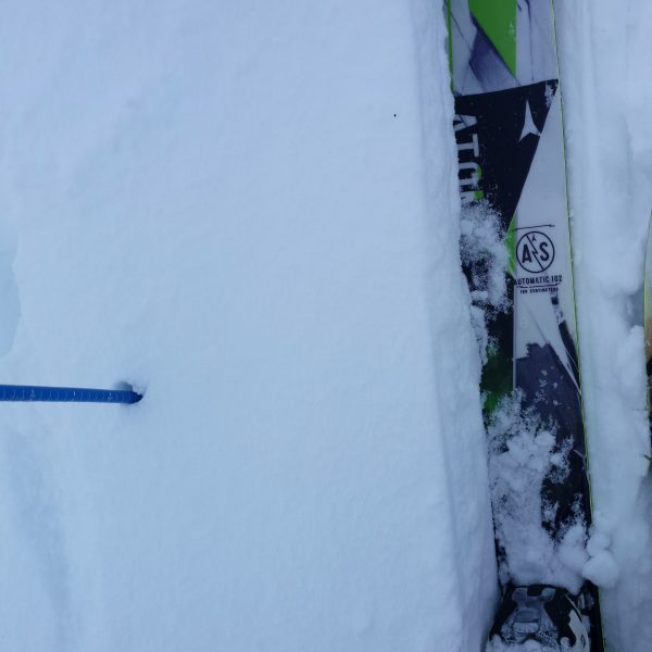 My skis with Adventure Mountain Park logo and a the probe measure 60cm of snow. 